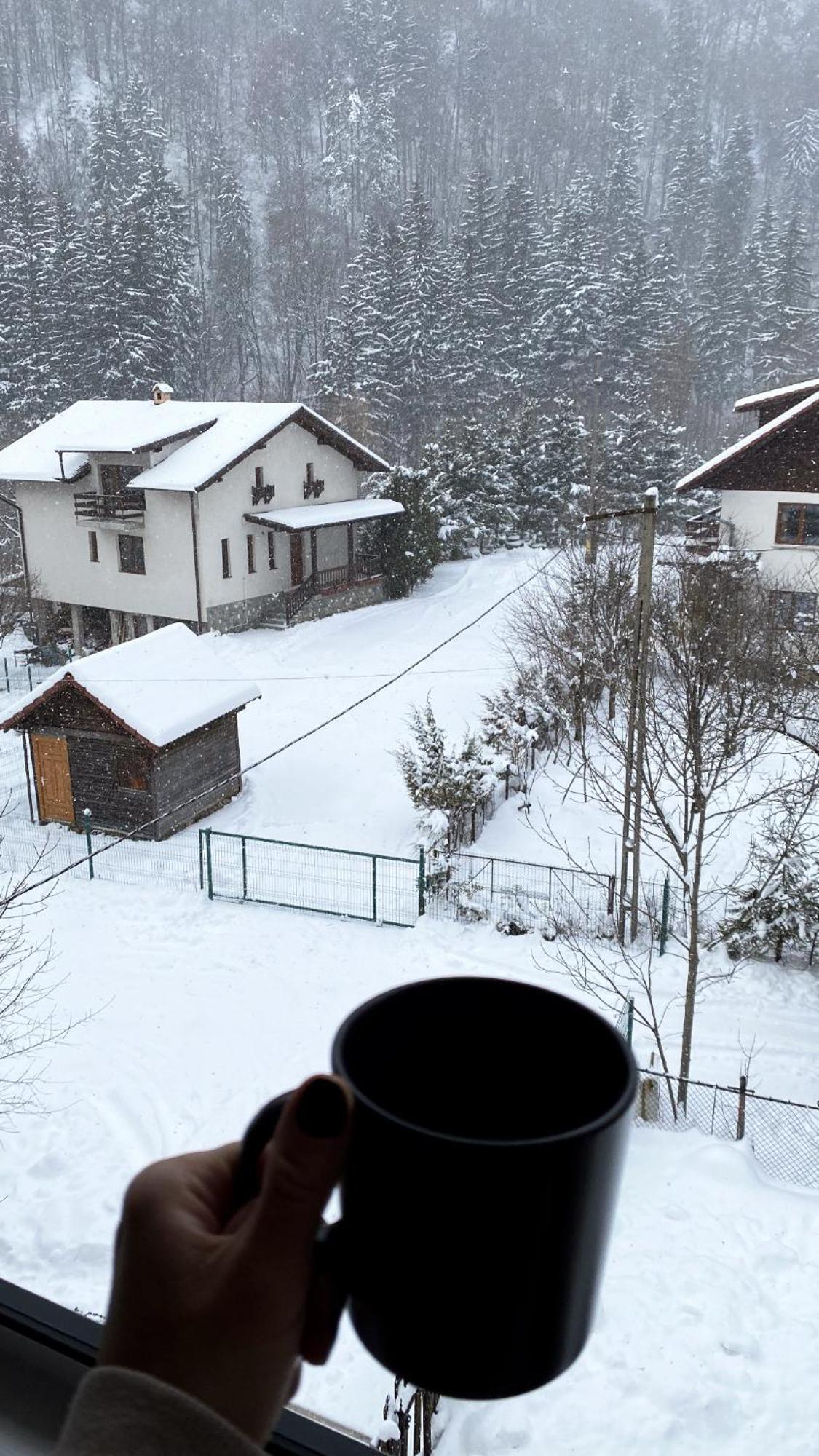 Queen'S Heart Guesthouse Бран Екстериор снимка